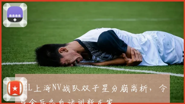 PEL上海NV战队双子星分崩离析，令与伞兵各自试训新东家
