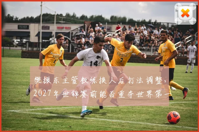 樊振东主管教练换人后打法调整，2027年世锦赛前能否重夺世界第一？